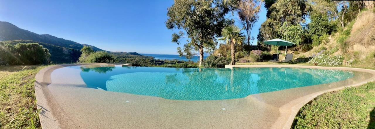 Studio, Vue Sur Mer Et Montagne แซ็งต์-โฟลร็องต์ ภายนอก รูปภาพ