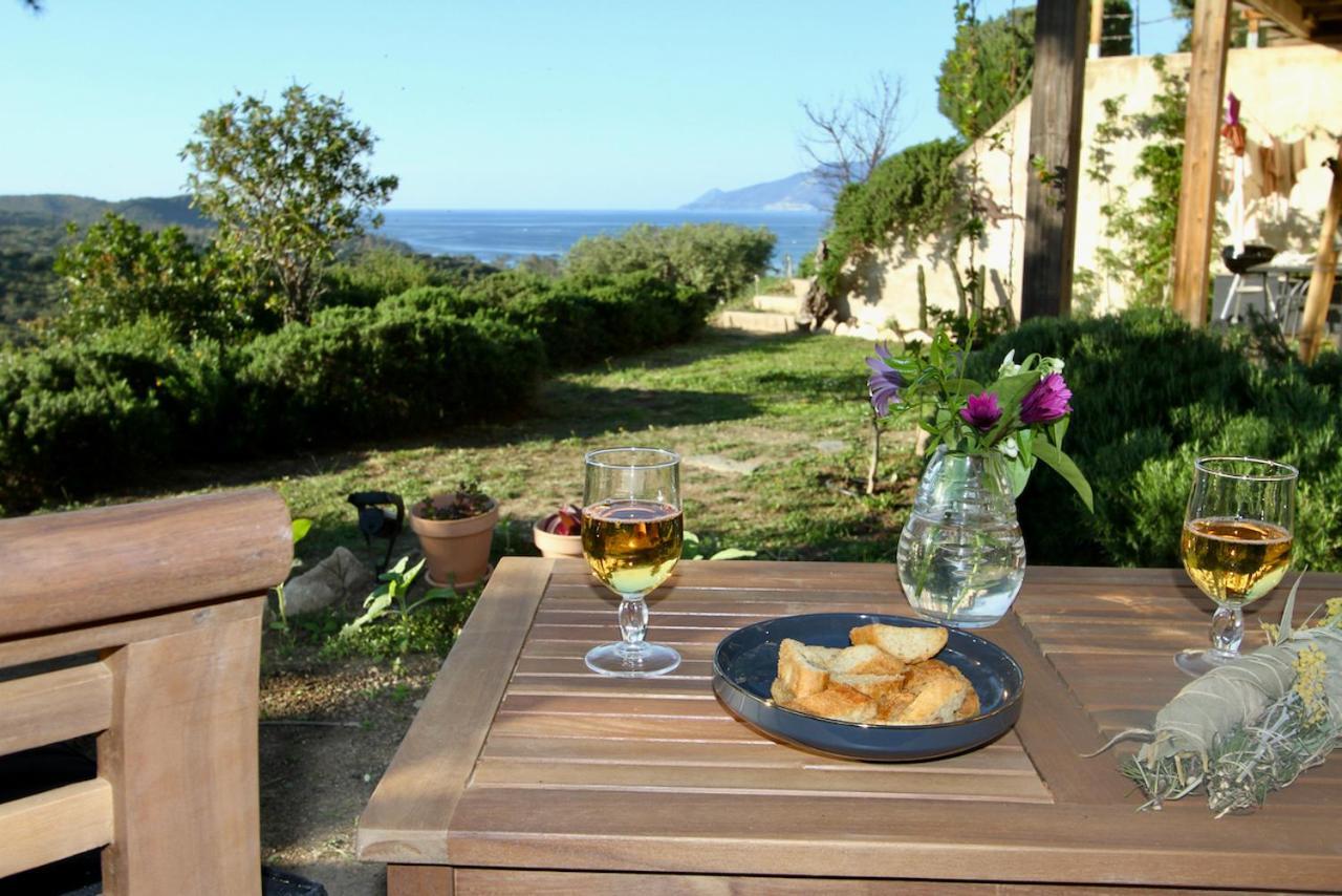 Studio, Vue Sur Mer Et Montagne แซ็งต์-โฟลร็องต์ ภายนอก รูปภาพ