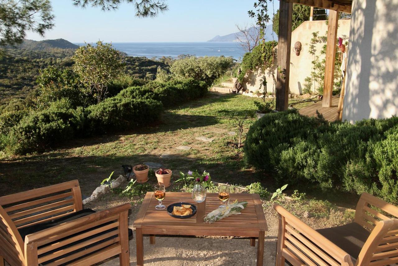 Studio, Vue Sur Mer Et Montagne แซ็งต์-โฟลร็องต์ ภายนอก รูปภาพ